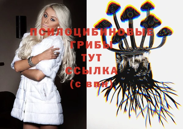 мет Надым